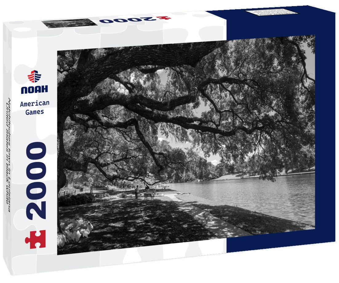Noah Jigsaw Puzzle Natchitoches town in Louisiana, United States in black white 2000 pieces