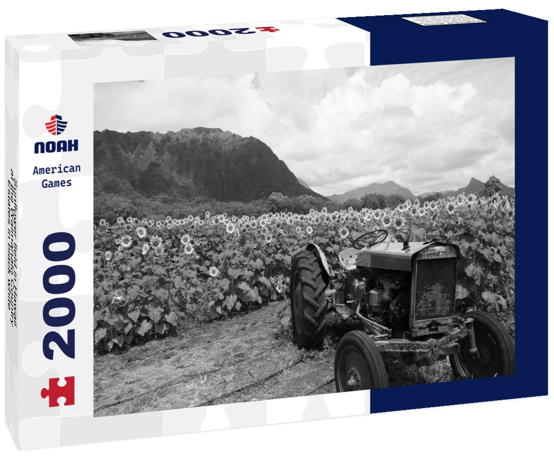 Noah Jigsaw Puzzle Sunflower field in Hawaii at the Waimanalo Country Estates in black white 2000 pieces