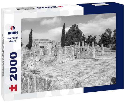 Noah Jigsaw Puzzle Utica, an ancient Phoenician and Carthaginian city in Tunisia in black white 2000 pieces
