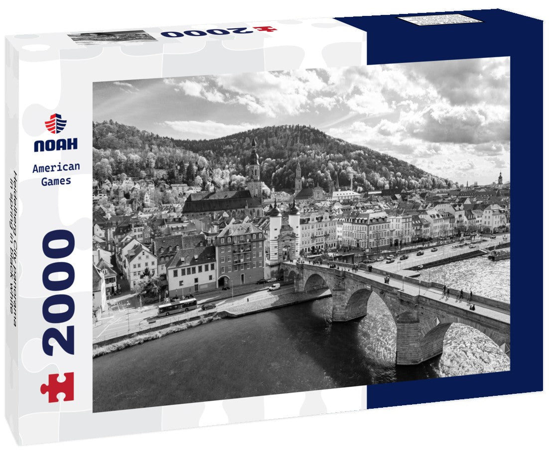 Noah Jigsaw Puzzle Heidelberg City panorama in spring in black white 2000 pieces