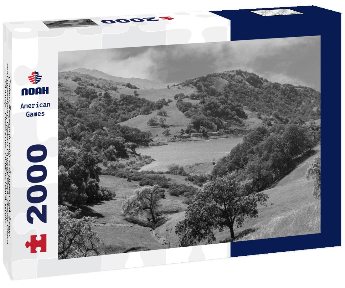 Noah Jigsaw Puzzle Calero Reservoir with soft green oak forest and grassland. Calero County Park, Santa Clara County, California, USA in black white 2000 pieces