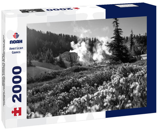 Noah Jigsaw Puzzle Steam Rising Behind Blanket of Bright Pink Flowers in Lassen Volcanic National Park in black white 2000 pieces