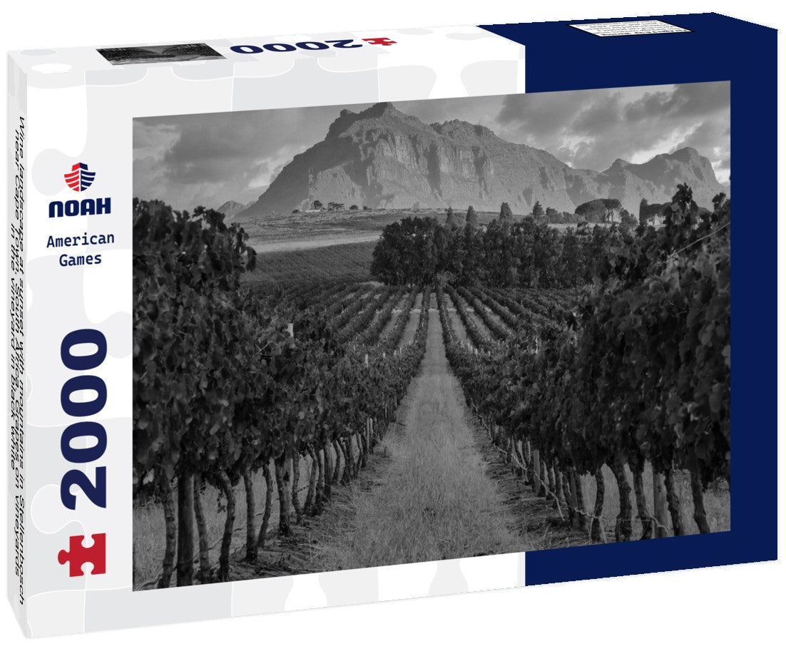 Noah Jigsaw Puzzle Wine landscape at sunset with mountains in Stellenbosch, near Cape Town, South Africa. Grapes on vineyards in the vineyard in black white 2000 pieces