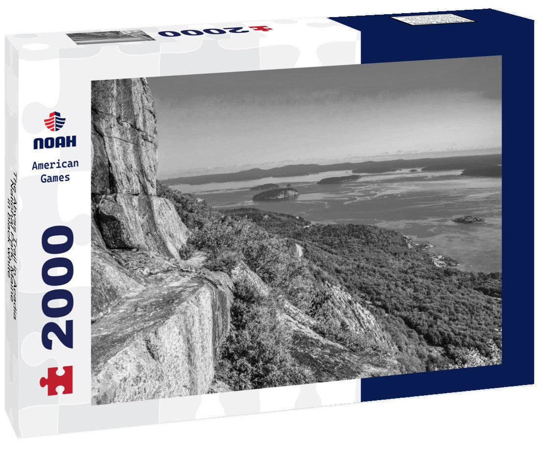 Noah Jigsaw Puzzle The Abyss Trail in Acadia National Park, Maine in black white 2000 pieces