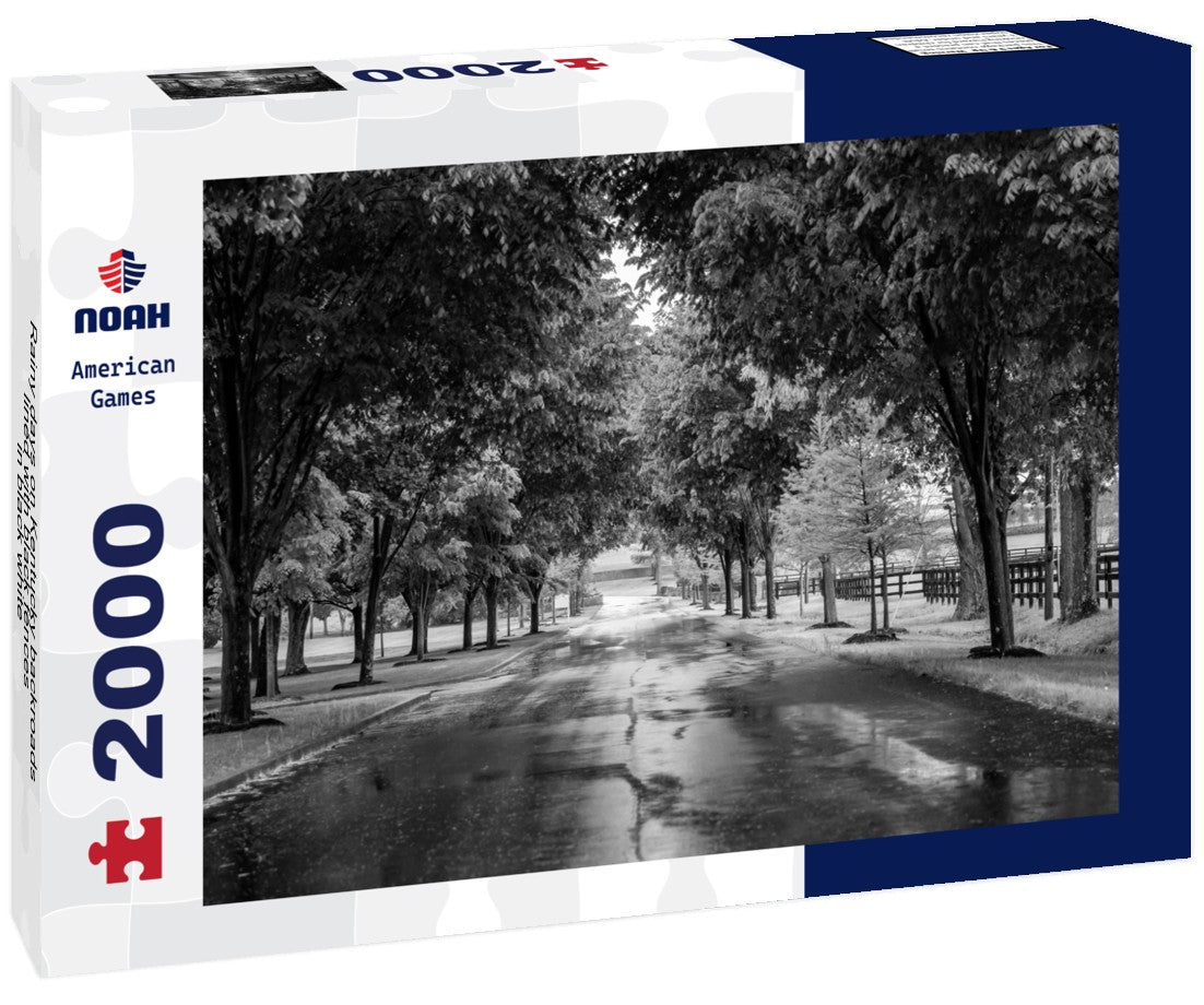 Noah Jigsaw Puzzle Rainy days on Kentucky backroads, lined with black fences in black white 2000 pieces