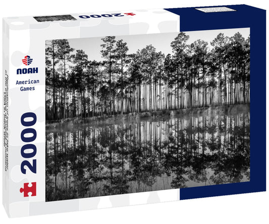 Noah Jigsaw Puzzle Replication of trees in lake water in the evening at sunset, Louisiana, USA in black white 2000 pieces