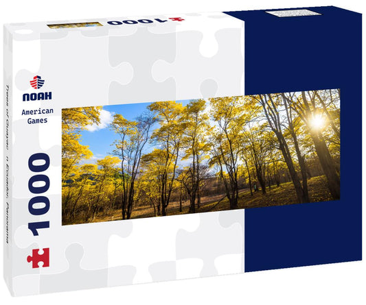 Noah Jigsaw Puzzle Trees of Guayacán Ecuador, Panorama Panorama 1000 Pieces