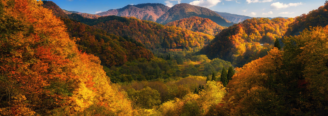 Noah Jigsaw Puzzle Autumnal colorful mountain in Tohoku, Japan, Panorama Panorama 1000 Pieces