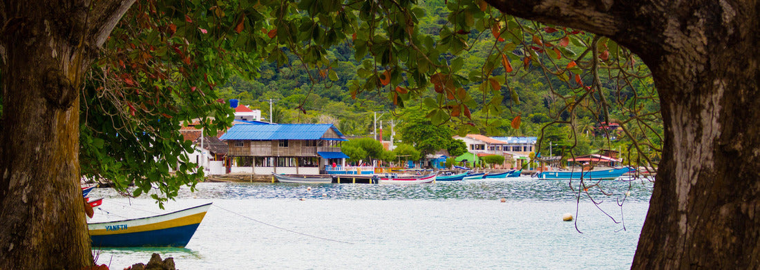 Noah Jigsaw Puzzle Blue beach of the city of Sapzurro from a view framed by trees. Colombia, Chocó, Panorama Panorama 1000 Pieces