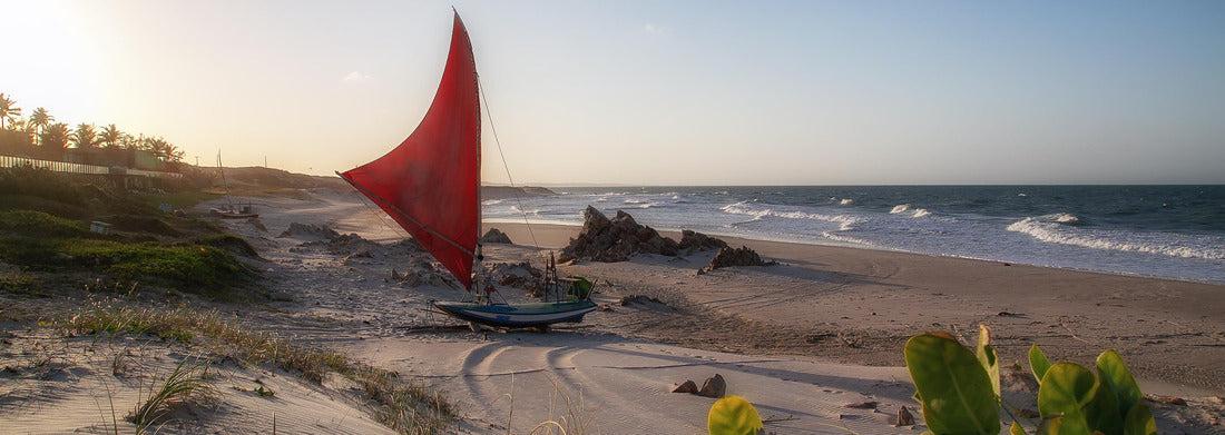 Noah Jigsaw Puzzle Deserted beach in the northeast of Brazil, panorama Panorama 1000 Pieces