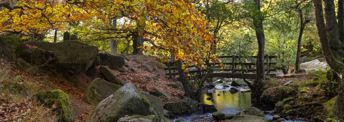 Noah Jigsaw Puzzle Bridge in Padley Gorge woodland in autumn, beautiful colors of the Peak District, England, panorama Panorama 1000 Pieces