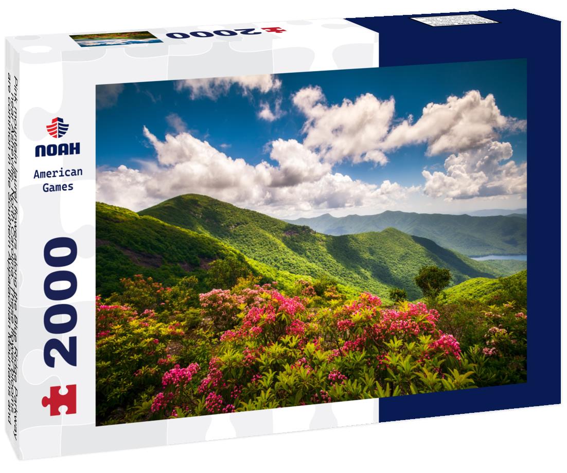 Noah Jigsaw Puzzle Pink mountain laurel flowers along the Blue Ridge Parkway near Asheville, North Carolina 2000 pieces