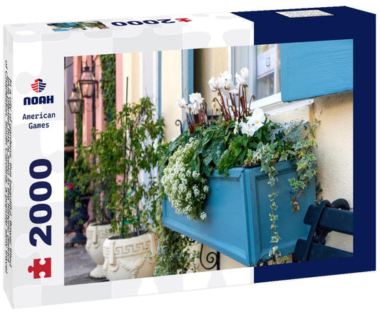 Noah Jigsaw Puzzle historic district of Charleston, South Carolina 2000 pieces