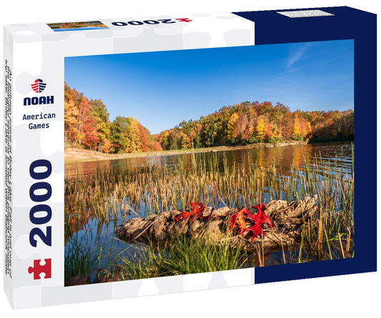 Noah Jigsaw Puzzle Babcock State Park (Fayette County) in West Virginia 2000 pieces