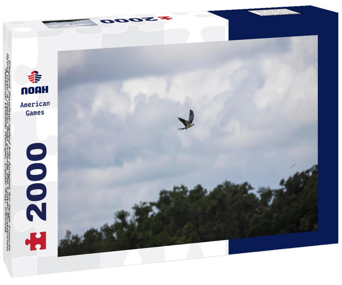 Noah Jigsaw Puzzle Elegant Swallow-tailed kite, Lower Suwannee National Wildlife Refuge, Cedar Key, Florida 2000 pieces