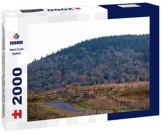 Noah Jigsaw Puzzle Countryside rural gravel dirt road by West Virginia Monongahela national forest 2000 pieces