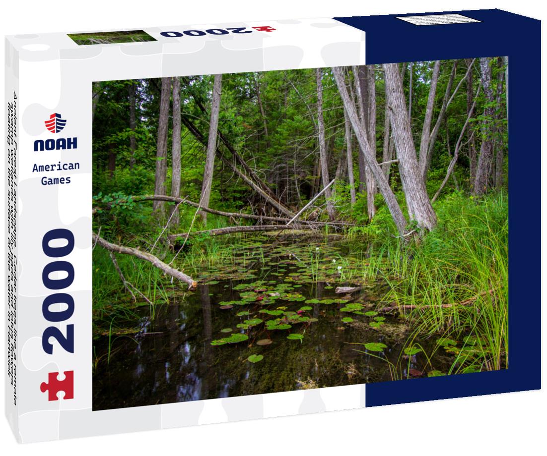 Noah Jigsaw Puzzle Ancient Forest Landscape near Grayling, Michigan 2000 pieces