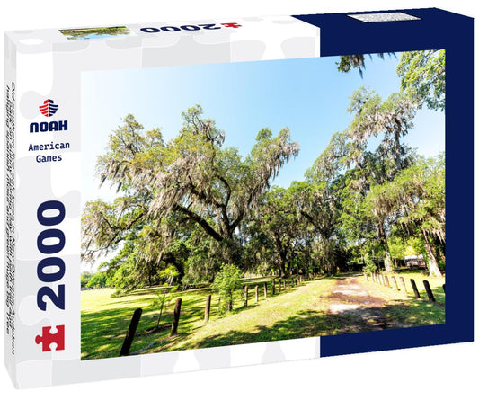 Noah Jigsaw Puzzle Old southern live oak trees in New Orleans Audubon park, Louisiana 2000 pieces