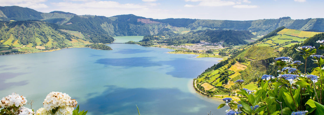 Noah Jigsaw Puzzle Lake of Sete Cidades with hydrangeas, Azores, Portugal, Panorama 1000 Pieces