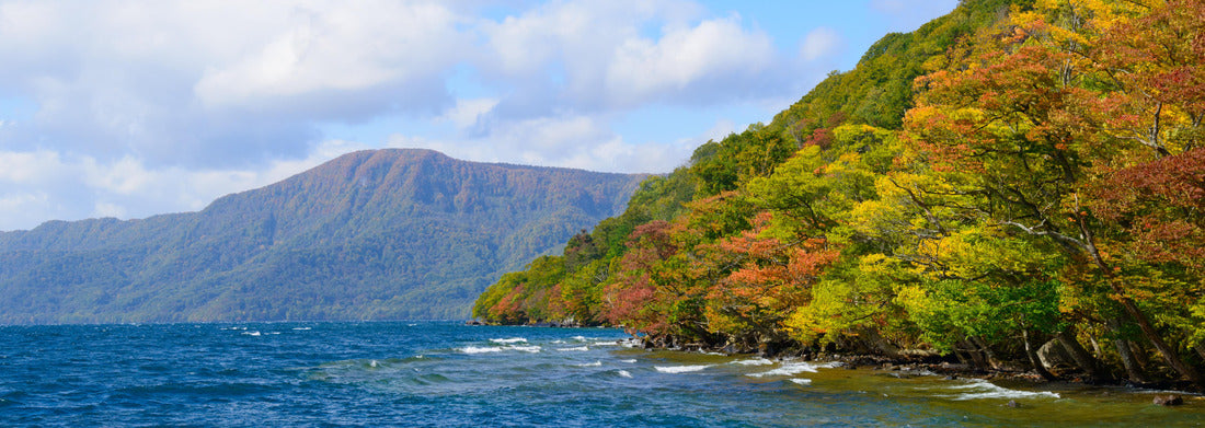 Noah Jigsaw Puzzle Bahía de Ushuaia, Tierra del Fuego, Patagonia, Argentina, Panorama 1000 Pieces