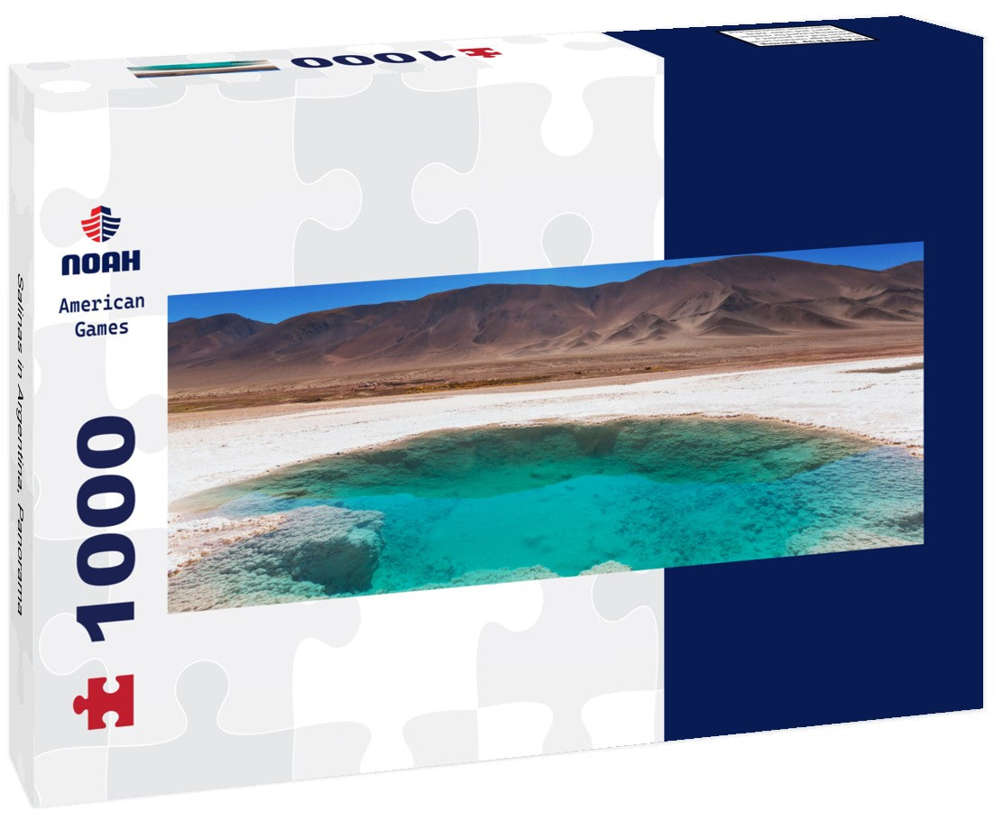 Noah Jigsaw Puzzle Salinas in Argentina, Panorama 1000 Pieces