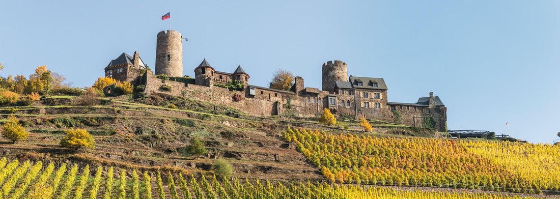 Noah Jigsaw Puzzle Moselle - Thurant Castle with vineyard, Panorama 1000 Pieces