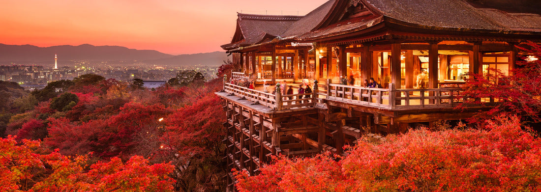 Noah Jigsaw Puzzle Kiyomizu Temple of Kyoto, Japan, Panorama 1000 Pieces