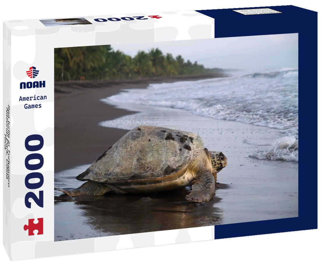 Noah Jigsaw Puzzle Sea turtle in Tortuguero National Park, Costa Rica 2000 Pieces