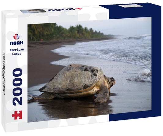Noah Jigsaw Puzzle Sea turtle in Tortuguero National Park, Costa Rica 2000 Pieces
