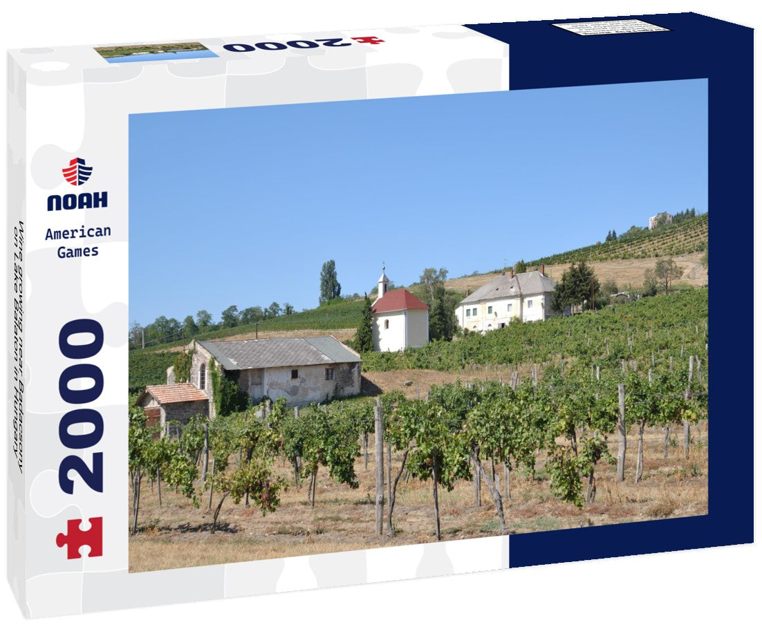 Noah Jigsaw Puzzle Wine growing near Badacsony on Lake Balaton in Hungary 2000 Pieces
