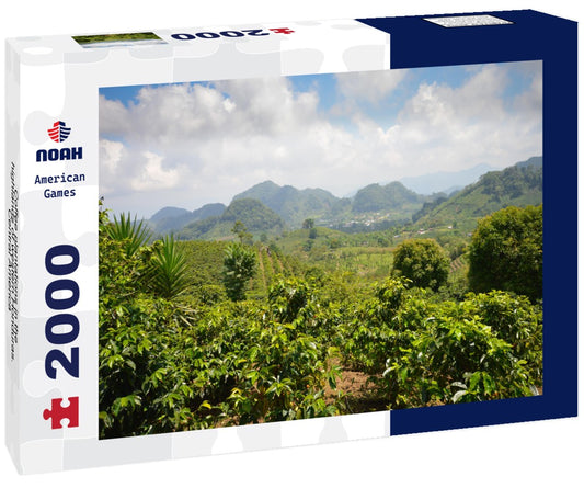 Noah Jigsaw Puzzle Coffee plantations in the highlands of western Honduras. Central America 2000 Pieces