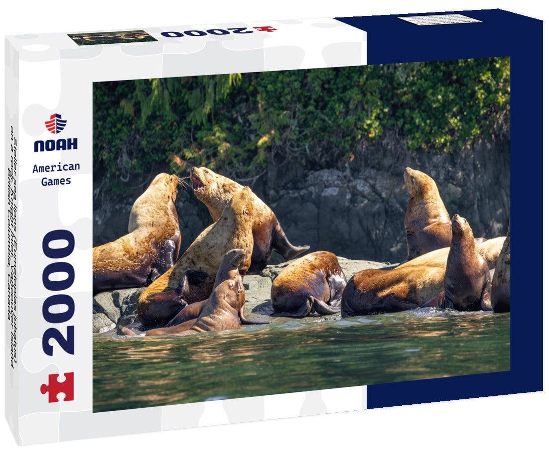 Noah Jigsaw Puzzle Steller sea lions (Eumetopias jubatus) on a rock, Knight Inlet, Vancouver Island, British Columbia, Canada 2000 pieces