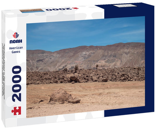 Noah Jigsaw Puzzle Atacama Desert in the commune of Camarones, north of Chile, presence of candelabra cactus 2000 pieces