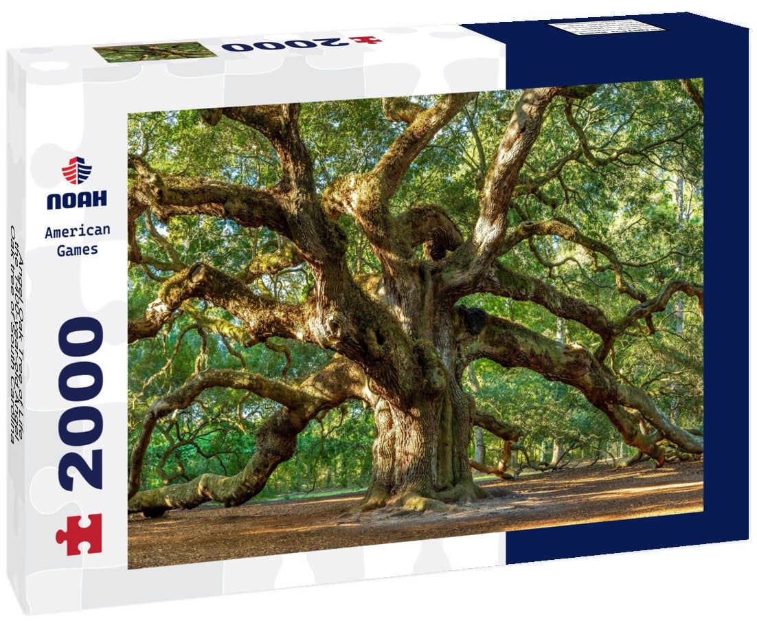 Noah Jigsaw Puzzle Angel Oak Tree of Life, the 1400-year-old Angel Oak tree of South Carolina 2000 pieces