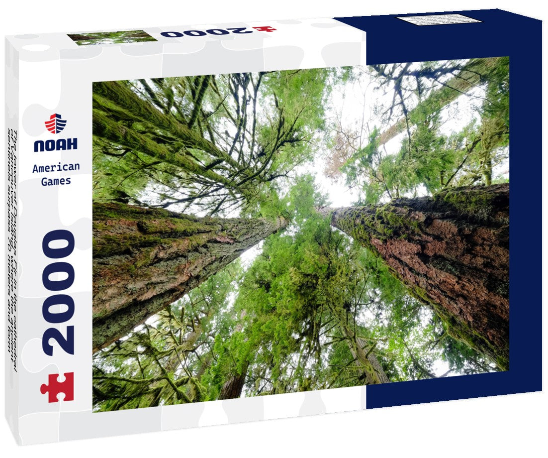 Noah Jigsaw Puzzle The tower of Douglas Fir in the cathedral of Vancouver Island, where the ancient sentinels surpass 70 meters and form a majestic forest-cathedral 2000 pieces
