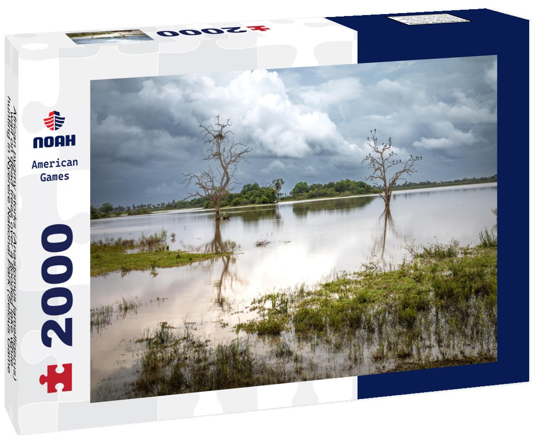 Noah Jigsaw Puzzle African pygmy storks (Anastomus lamelligerus) wait on dead trees over a flooded lake while hunting in Nyerere National Park (Selous Game Reserve) in southern Tanzania 2000 pieces