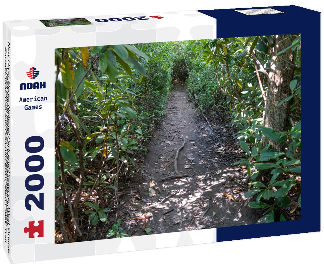 Noah Jigsaw Puzzle New River Gorge National Park and Preserve, West Virginia. Green tunnel made by rhododendron bushes. Endless Wall Trail and Diamond Point, Fern Creek Trail 2000 pieces