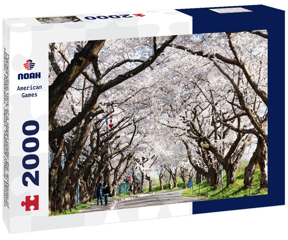 Noah Jigsaw Puzzle Perspective view of a street under the archway of sakura trees on a beautiful spring day, in Honcho, Hokuto, Hokkaido, Japan. Hanami (cherry blossom viewing) is a popular activity in Japan 2000 pieces