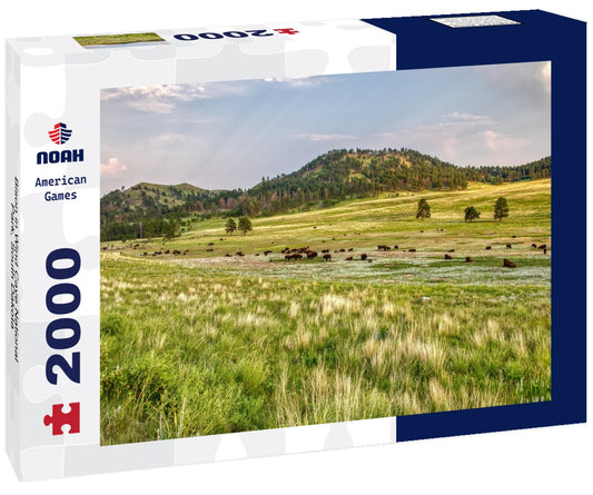 Noah Jigsaw Puzzle Bison in Wind Cave National Park, South Dakota 2000 pieces
