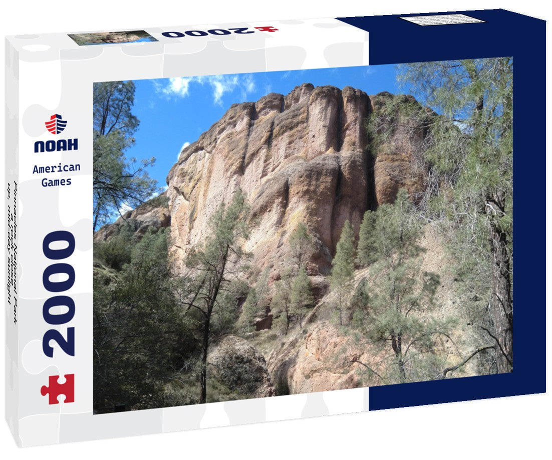 Noah Jigsaw Puzzle Pinnacles National Park, a rock close-up, mid-day sunlight, early Spring, California 2000 pieces