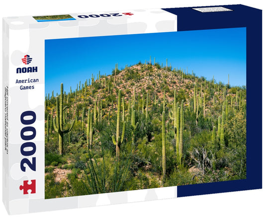 Noah Jigsaw Puzzle Hill covered in cactus in Saguaro national park 2000 pieces