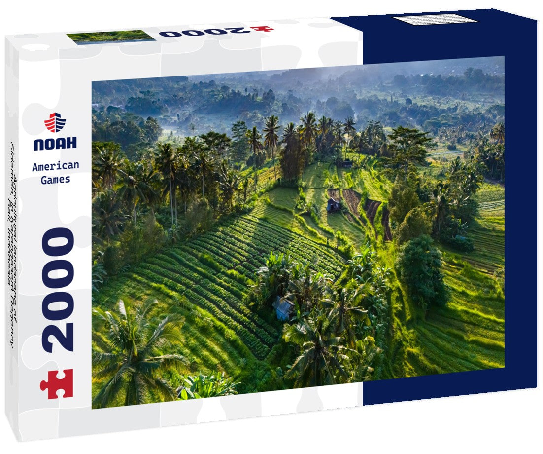 Noah Jigsaw Puzzle Agricultural landscape of Sidemen, in Karangasem Regency, Bali, Indonesia 2000 pieces
