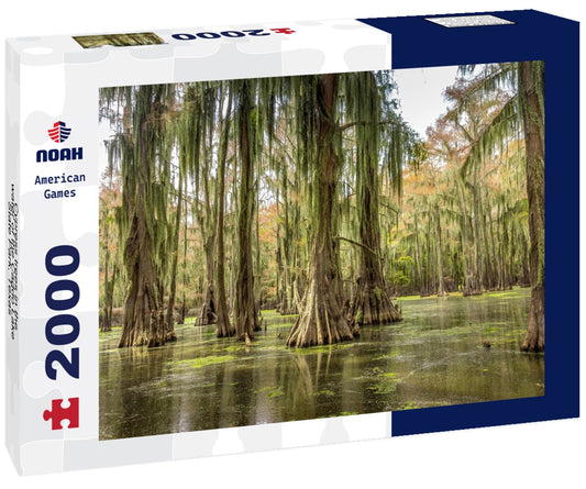 Noah Jigsaw Puzzle Cypress trees in the water of the Caddo Lake State Park, Texas 2000 pieces