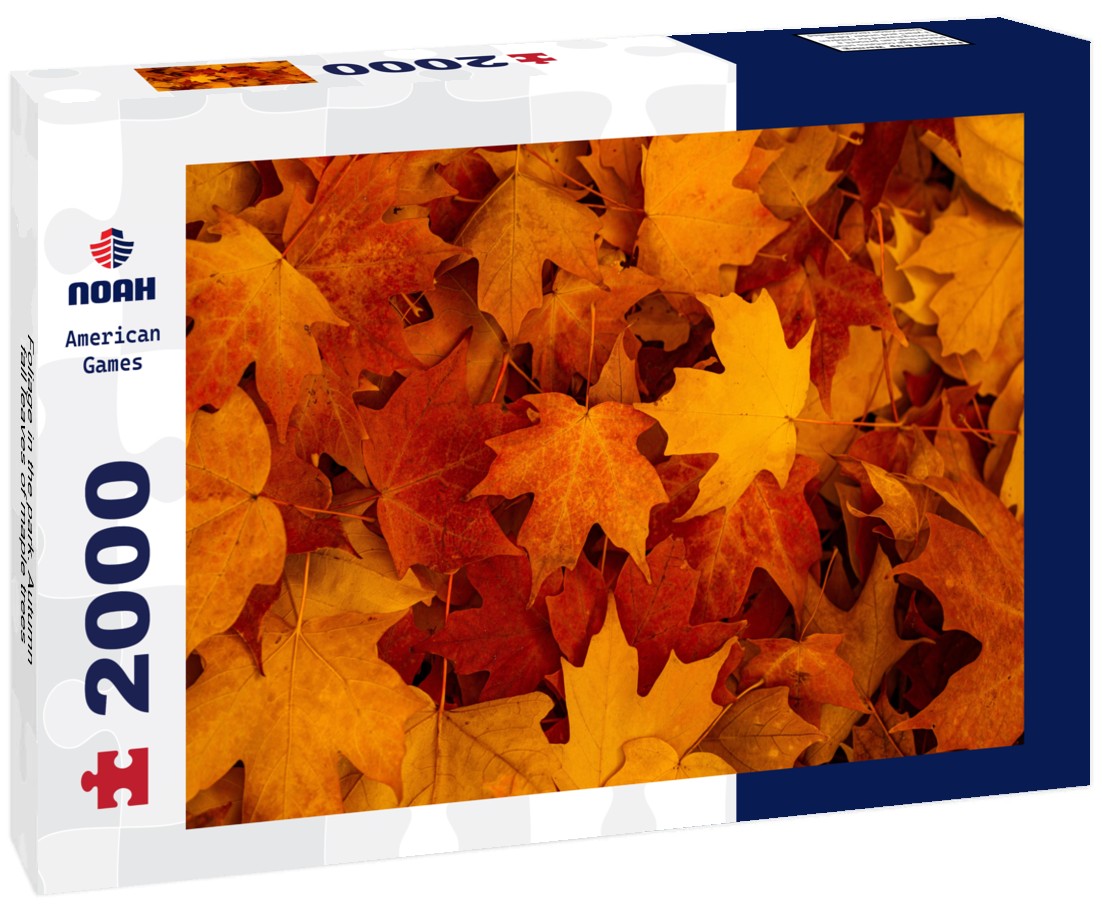 Noah Jigsaw Puzzle Foliage in the park. Autumn fall leaves of maple trees 2000 pieces