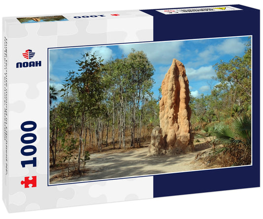 Huge termite mound in Litchfield NP, Northern Territory, Australia