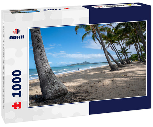 Trees on the beach under blue sky on a sunny day at Cairns Cape Tribulation Australia