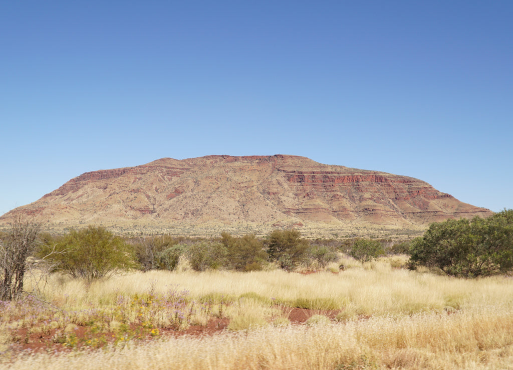 Arid dry red rock landscapes at Dales Gorge within Karijini National Park in the Hamersley Range of Western Australia