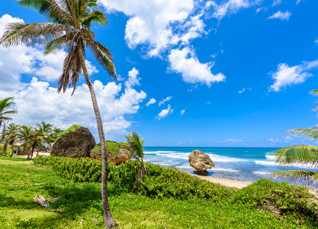 Rock formation on the beach of Bathsheba, East coast of island Barbados, Caribbean Islands - travel destination for vacation