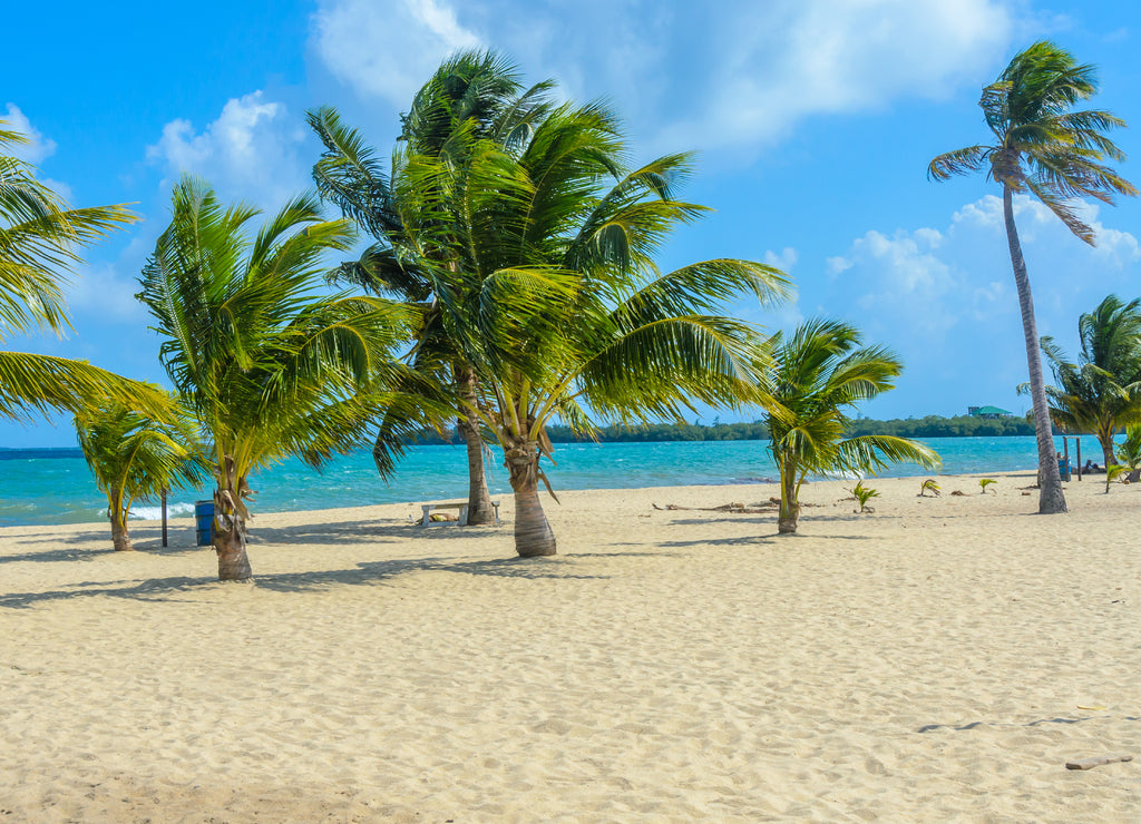 Paradise beach in Placencia, tropical coast of Belize, Caribbean Sea, Central America
