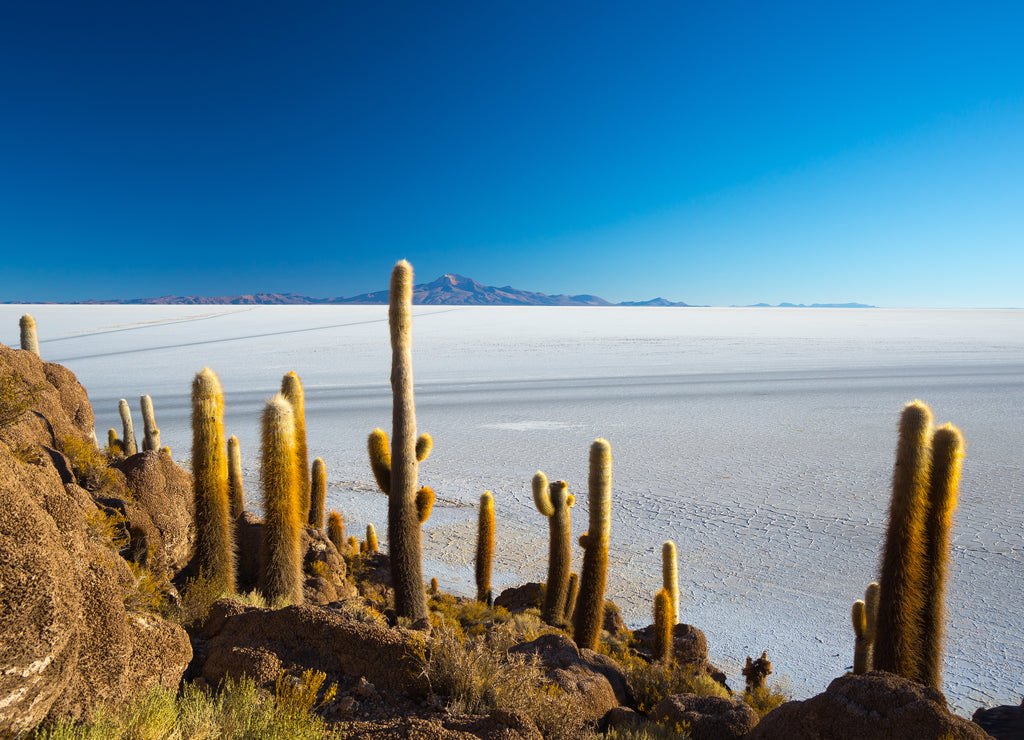 Uyuni Salt Flat on the Bolivian Andes at sunrise